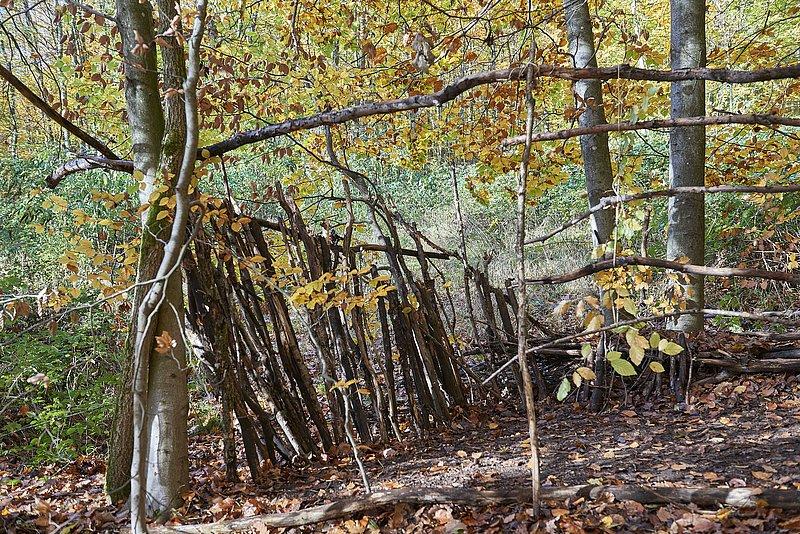 2020 | Social Distance Edition