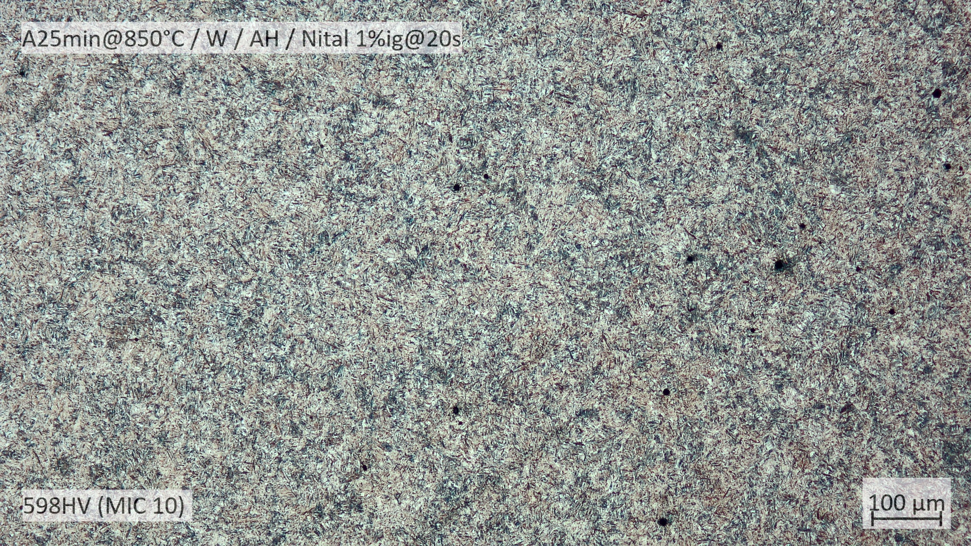 0901-01.jpg